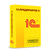 1С:Бюджетная отчетность 8. Электронная поставка